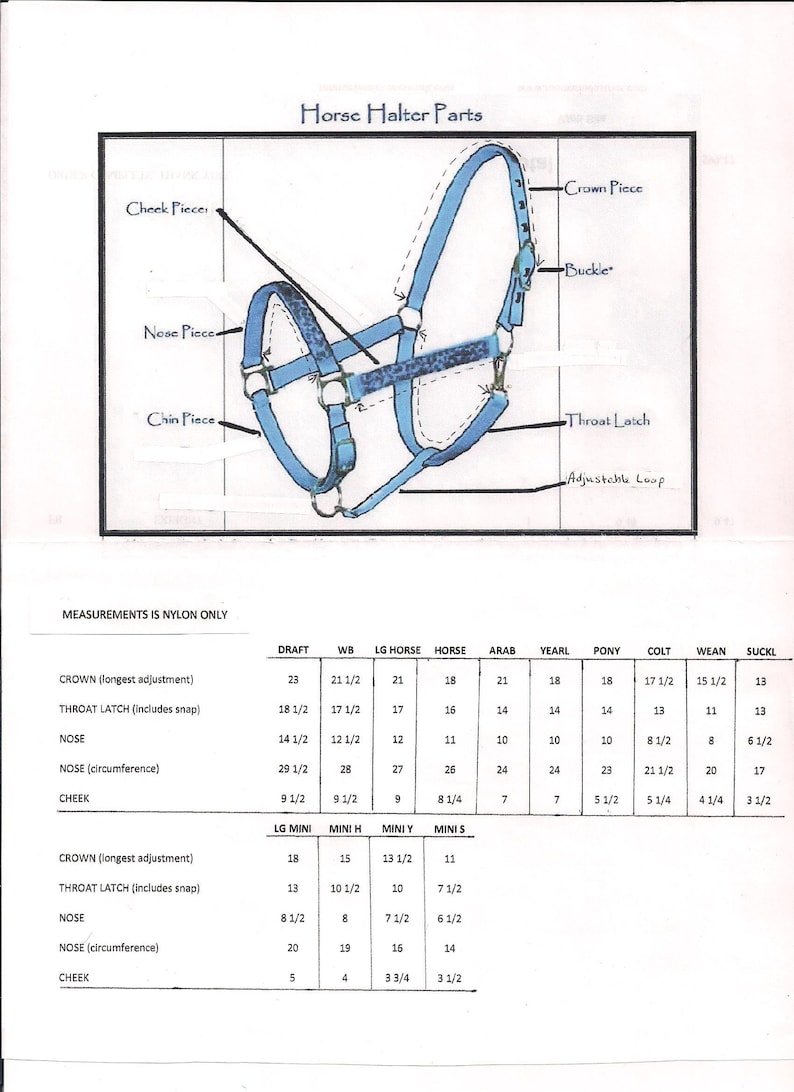 May include: A diagram showing the parts of a horse halter, including the crown, throat latch, nose, cheek, and buckle. The halter is blue with a leopard print pattern. Measurements for different horse sizes are listed in a table below the diagram.