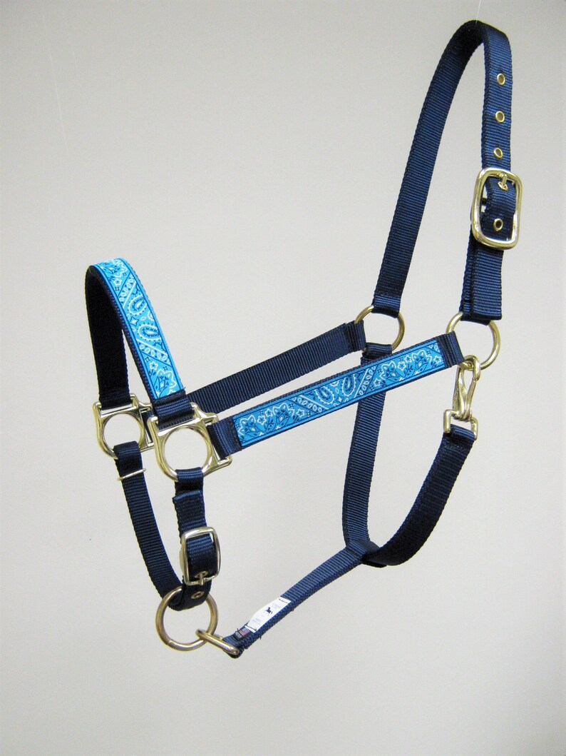 Puede incluir: Un cabezal de caballo azul y negro con un patr&oacute;n de paisley. El cabezal tiene herrajes dorados y una hebilla.