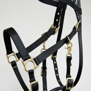 Halter Bridle Combo, Horse Halter Bridles, Halter/Bridle Combination, Nylon Halter/Bridle Combo