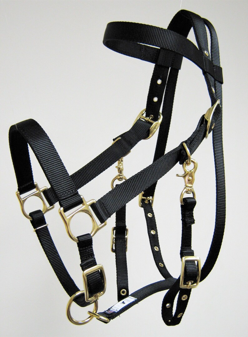 Halter Bridle Combo Horse Halter Bridles Halter/bridle Etsy