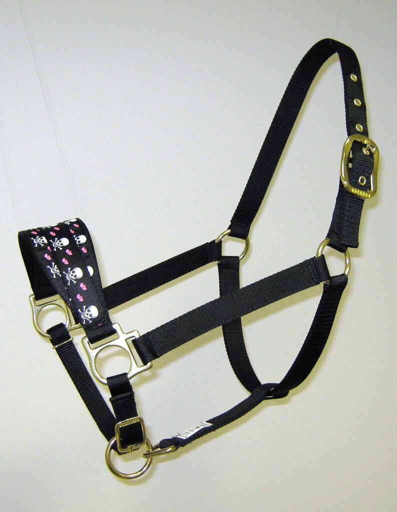 Bronc Horse Halter Custom Bronc Halter Fancy Bronc Draft Etsy