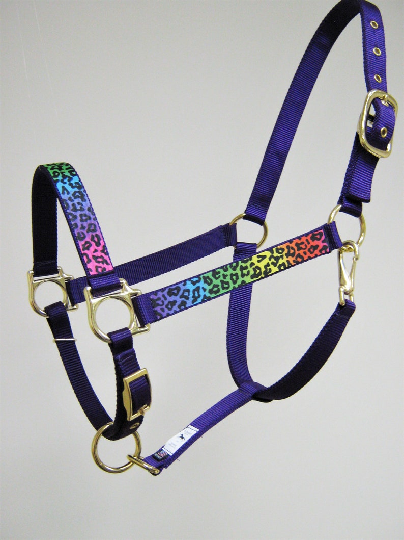 Pode incluir: Um cabresto roxo para cavalo com um design de leopardo arco-&iacute;ris e ferragens douradas.