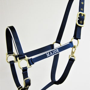 May include: A navy blue horse halter with a white stripe and gold hardware. The halter has the name "MAJOR" embroidered on it.