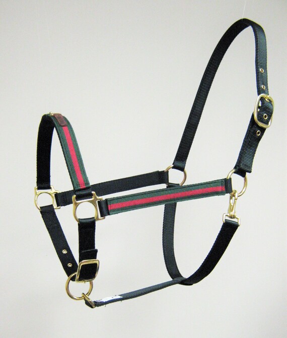 gucci bit