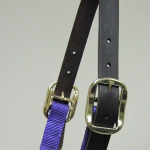 May include: A purple nylon horse halter with a brown leather headstall and two gold buckles.