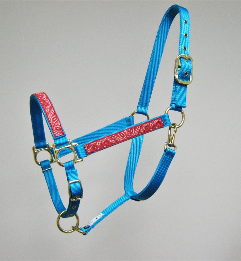 Puede incluir: Un cabezal de caballo turquesa con un patr&oacute;n de bandana rojo. El cabezal tiene una hebilla dorada y dos anillos dorados.