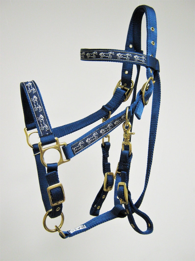 Wild Horses Horse Halter Bridle Combination Horse Etsy