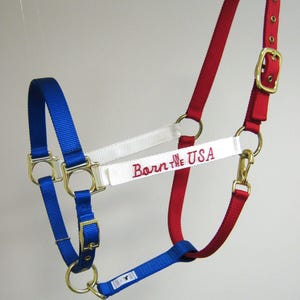 Red-White-Blue Born in the USA Horse Halter, July 4th Draft Halter,  Parade Horse Halters, Leather Crown Horse Halter