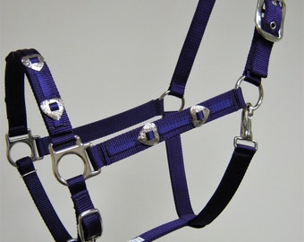 Cabestro de caballo Heart Concho, cabestro de tiro Concho Heart, cabestro árabe Heart, cabestro de nailon personalizado
