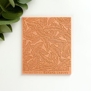 Hoja de textura de hojas de plátano