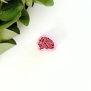 May include: Pink brain-shaped cookie cutter.