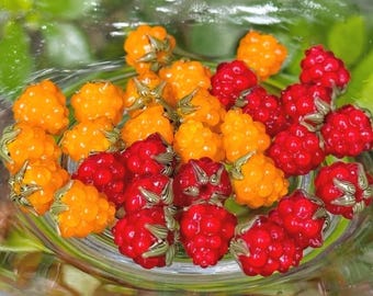 Cuentas de frambuesa de vidrio soplado, cuentas de bayas de vidrio de colores hechas a mano