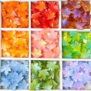 Può includere: Un vassoio diviso pieno di abbellimenti a forma di foglia d'acero traslucidi e colorati. Le foglie sono nelle tonalità di arancione, rosso, viola, rosa, verde, blu e verde chiaro. Ideali per l'artigianato e i progetti stagionali.