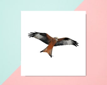 Red kite card // red kite gifts // red kite print // birds of prey cards // British bird cards // raptor card // red kite birthday card uk