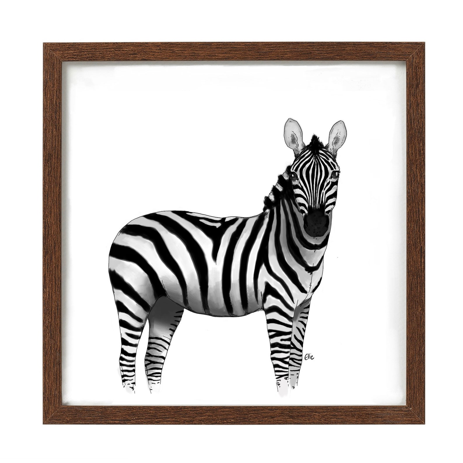 Framed zebra art print // ta gift from teachers // gifts for Etsy