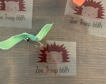 May include: Four clear plastic name tags with a cartoon hedgehog design and the text "Zoe Troop 6684". Each tag has a colorful ribbon attached to a safety pin.