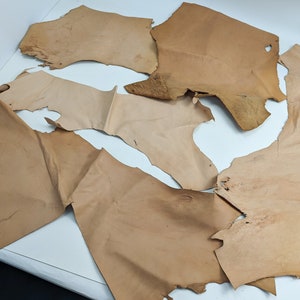 Variety pack of off-cuts of vegetable tanned, natural calfskin used in bookbinding.