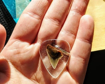 Shark Teeth Resin Guitar Pick