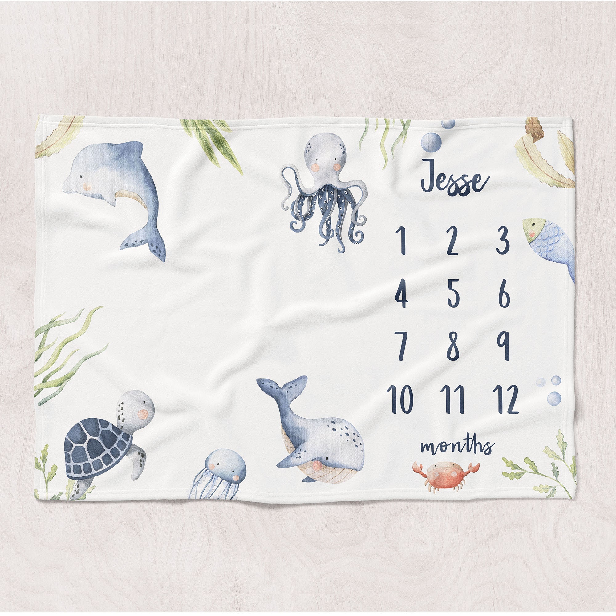 Under the Sea, Ocean Monthly Milestone Baby Blanket - Etsy Australia