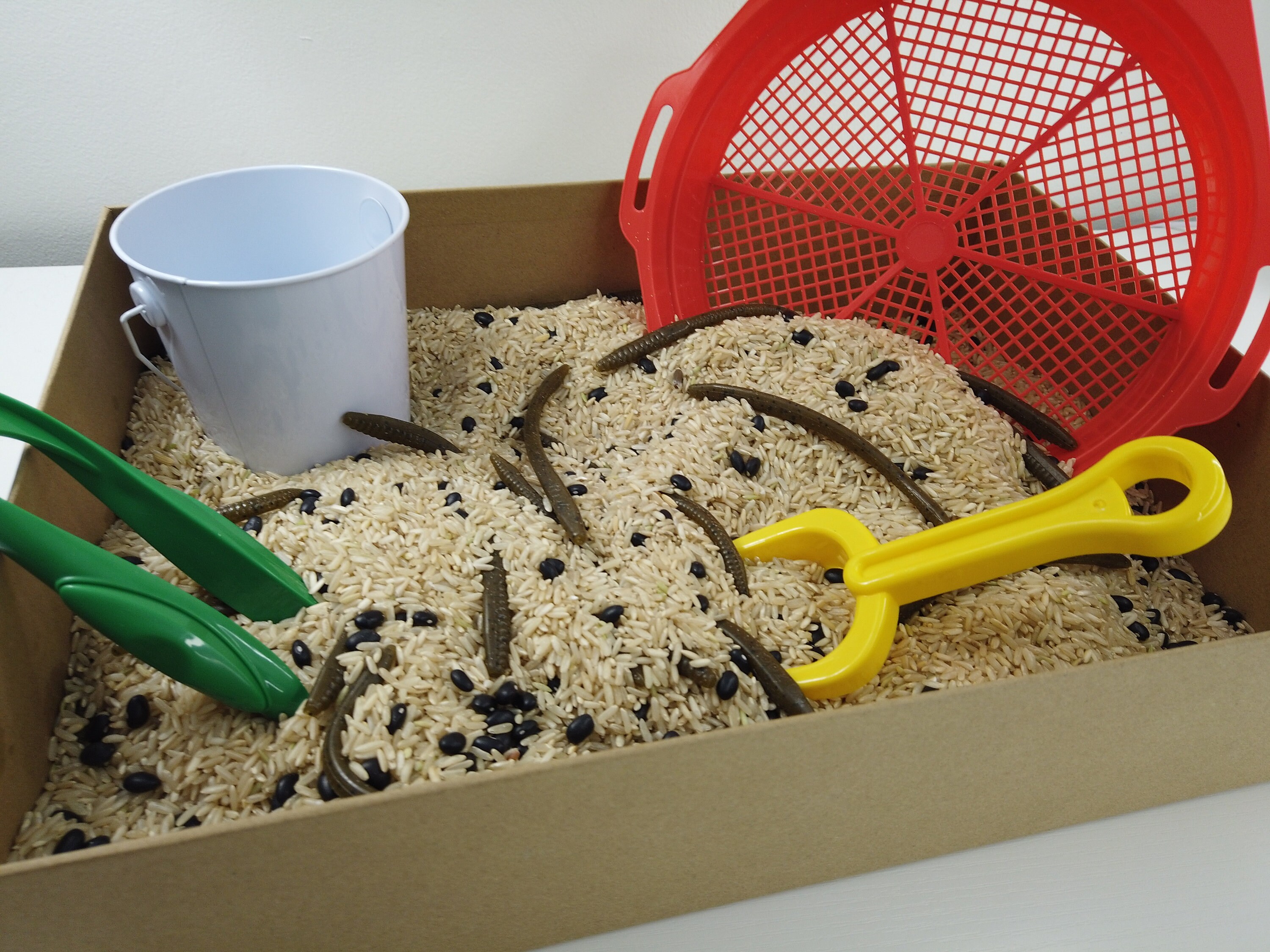Worm Sifting Sensory Bin | Sensory Kit Filler | Montessori Play ...
