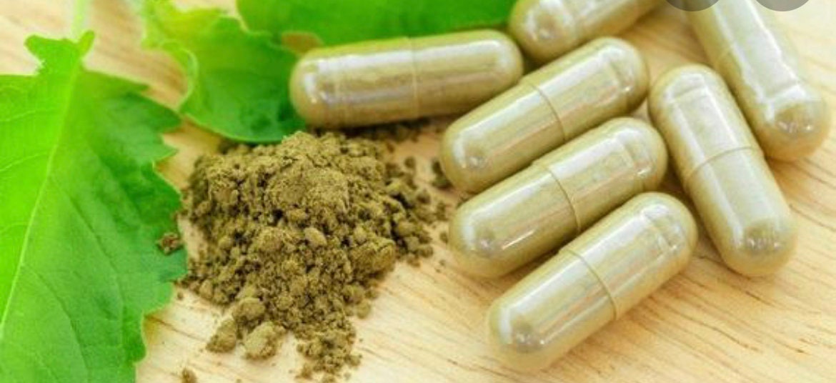 Spoken of Dr. Sebi Greenleaf Sea moss/Irish moss 100 Capsules /jamaic…