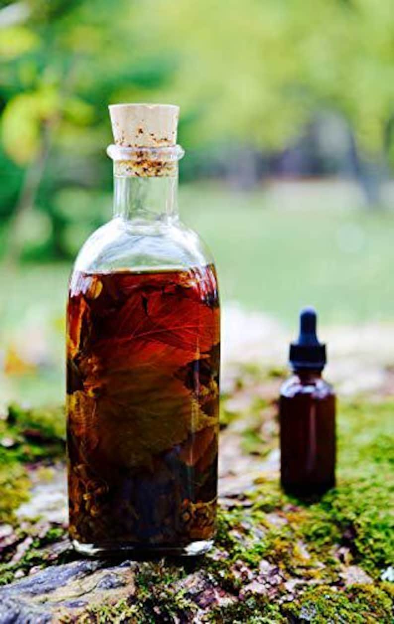 May include: A clear glass bottle with a cork stopper filled with a dark brown liquid and leaves. The bottle is sitting on a mossy surface.
