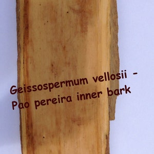 PaO PEREIRA Bark Tincture / imported from South American/Geissospermum vellosii tincture