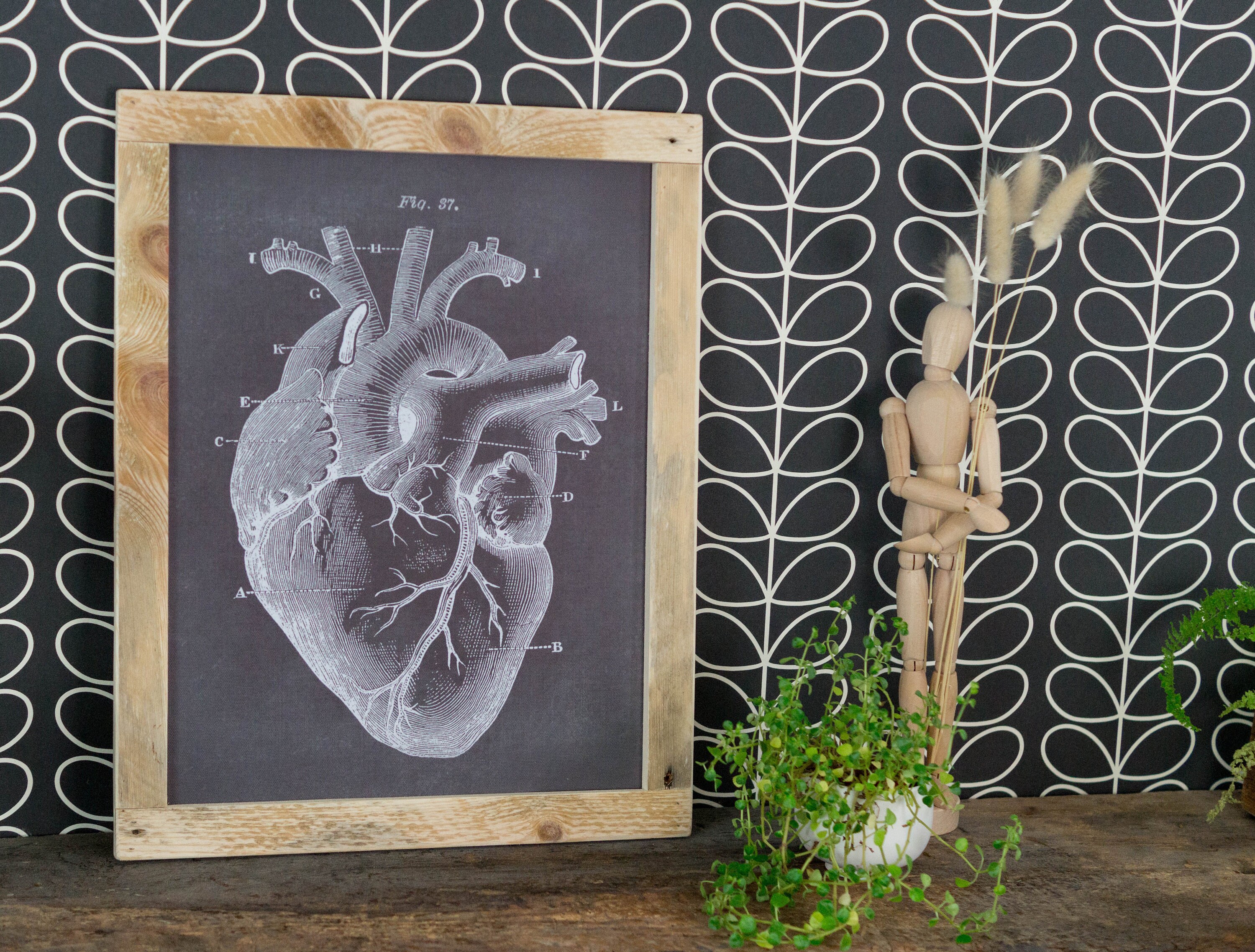 Cadres en Bois, Affiches Anatomie, Cadres Bois Recyclé