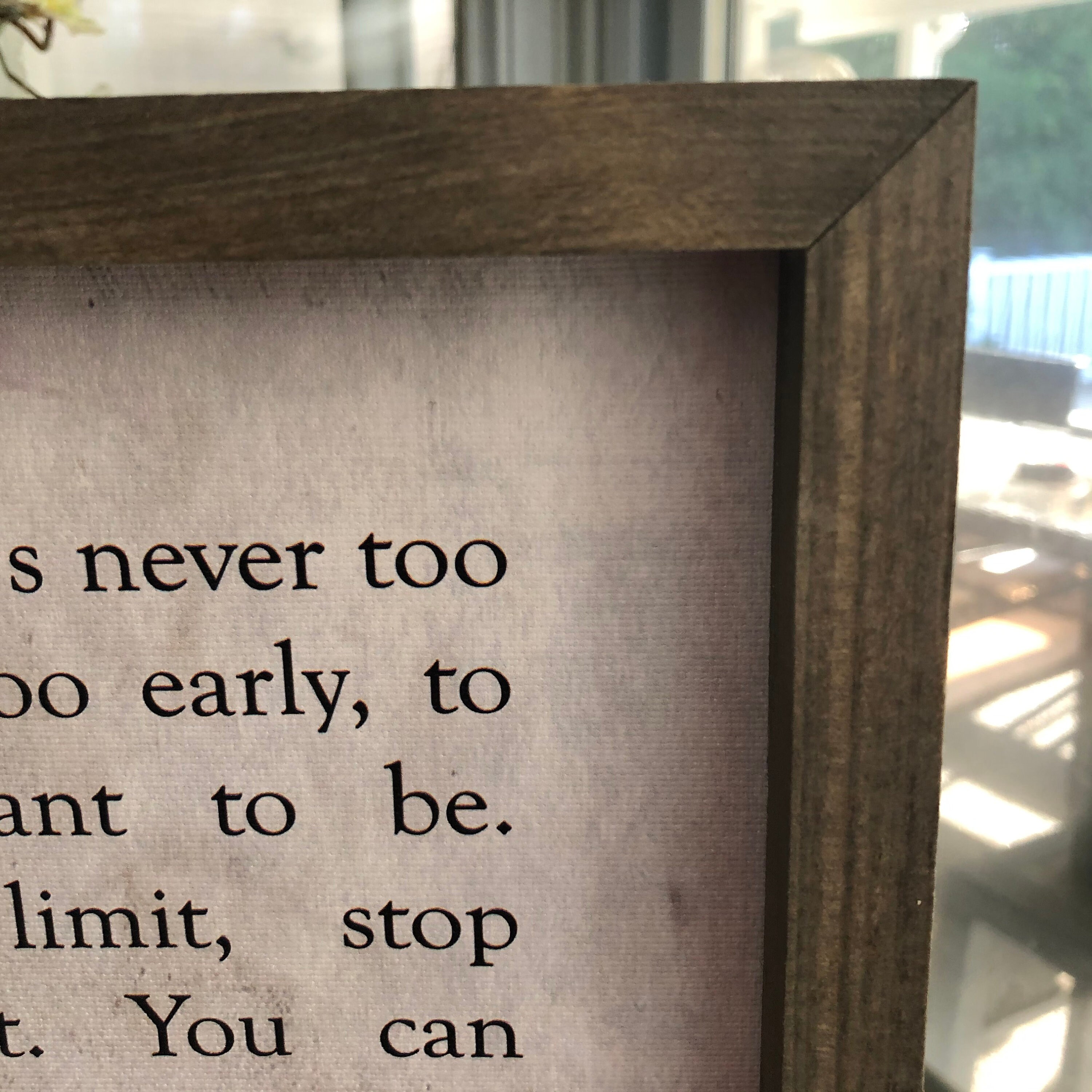 For What It's Worth Benjamin Button Quote F Scott Etsy