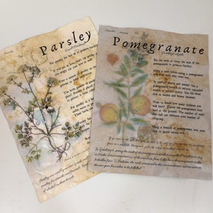 May include: Two vintage botanical illustrations on aged paper, one for parsley and one for pomegranate. The illustrations feature hand-drawn images of the plants with text describing their uses and folklore.