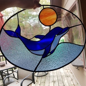 one dolphin