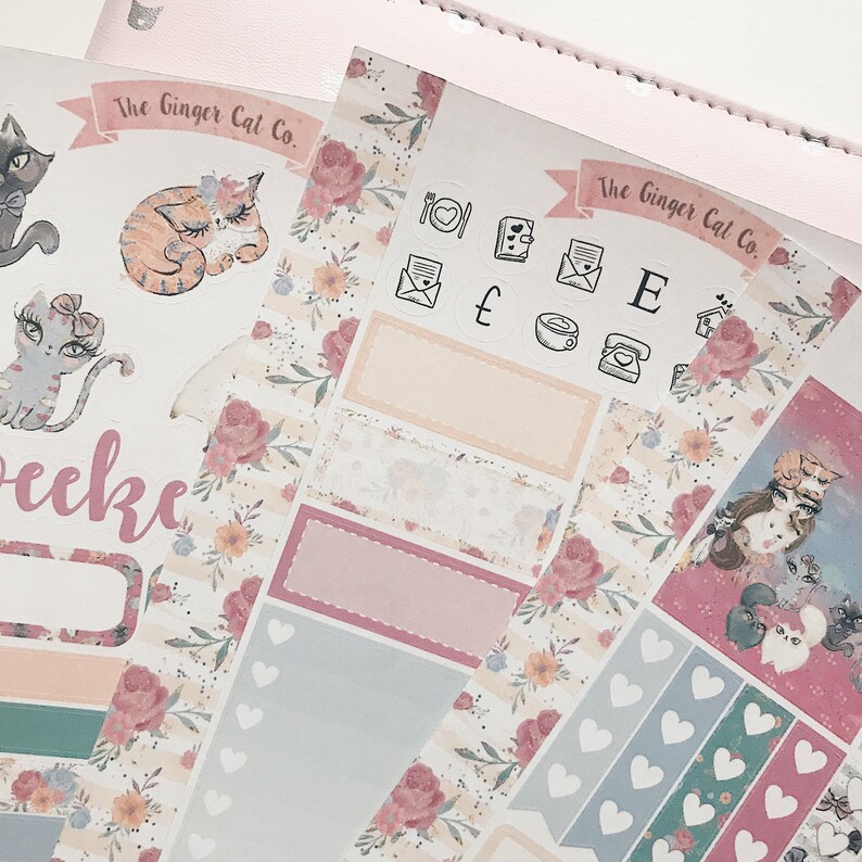 Crazy Cat Lady Personal Size Planner Sticker Kit - Etsy
