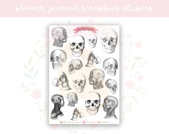 Vintage Skulls & Head Anatomy Planner Sticker Sheet | decorative stickers | journal stickers | scrapbooking