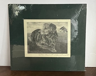 Vintage original signed sketch of golden retriever in matte