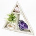 Crystal Air Plant Gift Set / Includes a 4.75” Mini wood Display Shelf, Tillandsia Air Plant, Amethyst Cluster, Rose Quartz, and geode 