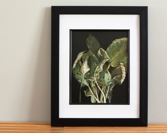 Hostas - art botanique - art végétal - pouce vert - néoclassique - impression d'art - mauvaise humeur - danse de la vie