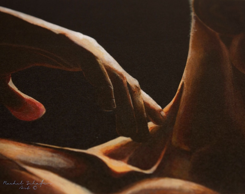 May include: A close-up of two hands intertwined, with the skin tones ranging from light to dark brown. The image is lit from the side, creating a dramatic contrast between the light and dark areas.