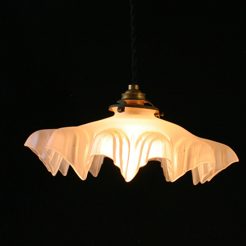 French frosted glass pendant light 