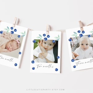 Bewerkbare Blueberry-fotobanner, Berry Sweet 1e verjaardagsbanner, maandelijkse mijlpaal eerste jaar foto's, Blueberry eerste verjaardag BLUEBD001