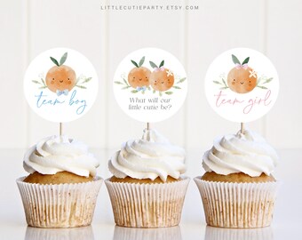 Editable Little Cutie Gender Reveal Cupcake Toppers, Little Cutie Cake Topper for He or She, Boy or Girl Decorations LITTGR001