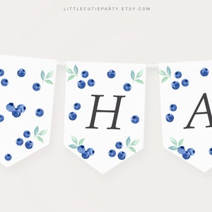 Bewerkbare Blueberry Happy Birthday Banners, Berry Sweet Baby Banner, Blueberry Eerste Verjaardag Decor BLUEBD001