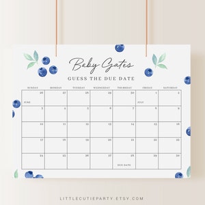 Editable Blueberry Baby Shower Due Date, Blueberry Baby Calendar Game, Due Date Calendar for Blueberry Party BLUEBS001
