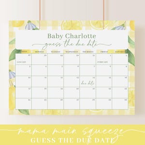 Redigerbart Mamas Main Squeeze Baby Shower-paket, Citron Baby Shower-paket med Main Squeeze Baby Shower-spel och dekor LMNBS003 bild 6