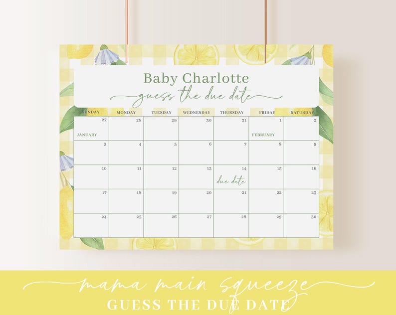 Redigerbart Mamas Main Squeeze Baby Shower-paket, Citron Baby Shower-paket med Main Squeeze Baby Shower-spel och dekor LMNBS003 bild 6