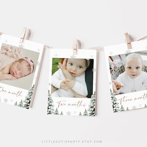 Winter Onederland Photo Banner, First Birthday Milestone (Editable, Digital Download) WIOBD001