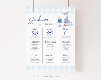 Bewerkbaar One Silly Goose mijlpaal bannerbord, Blue Goose mijlpaalbord eerste jaar voor jongen, mijlpaalposter 1e verjaardag jongen GOSBD002