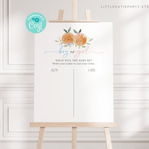 Tablero de votación de revelación de género de Little Cutie editable con tarjetas de votación de revelación de género, signo de voto, él o ella, niño o niña LITTGR001