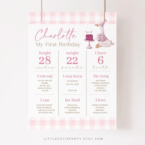 Editable One Silly Goose Milestone Banner Sign, Goose First Year Milestone Board, 1st Birthday Girl Milestone Poster GOSBD001