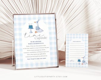 Editable One Silly Goose Time Capsule Template, Boy Goose First Birthday Time Capsule Sign, Goose 1st Birthday Time Capsule Poster GOSBD002