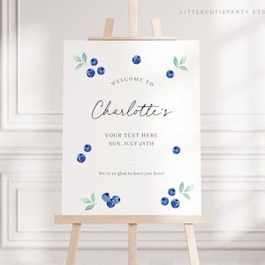 Editable Blueberry Baby Shower Welcome, Berry Sweet Baby Shower Banner, Blueberry Baby Shower Sign Decorations BLUEBS001, BLUEBD001